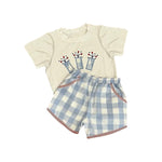 Preorder 01.14 BSSO1221 July 4th Fireworks Boys Shorts Set