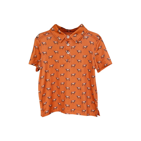 Preorder 12.20 BT1116 Western Cow Kids Boy Polo Shirt Top