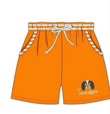 MOQ 8 pcs Custom Style TENNESSEE Boy Swim Trunks Shorts
