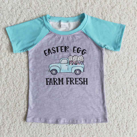 E7-15 Easter egg farm fresh blue grey Boy's Shirt